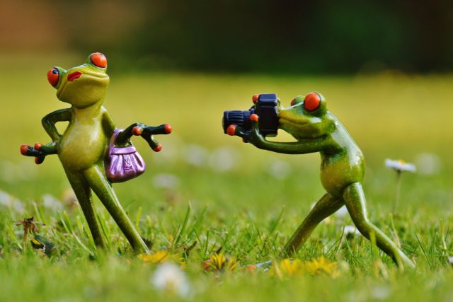 two toy frogs stand in a field. One takes pictures of the other. 
