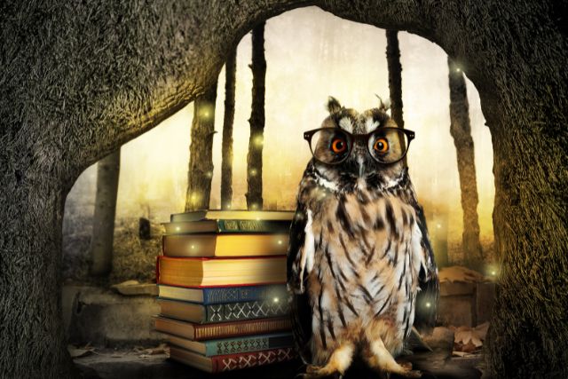 an owl wearing beside a stack of books